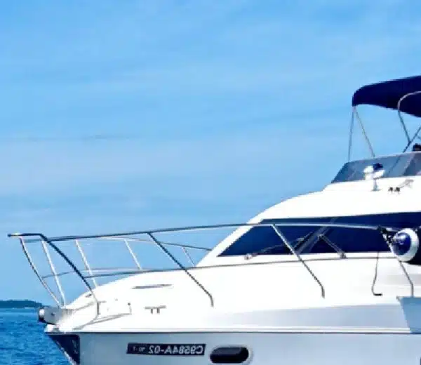 electric boat lifepo4 battery application