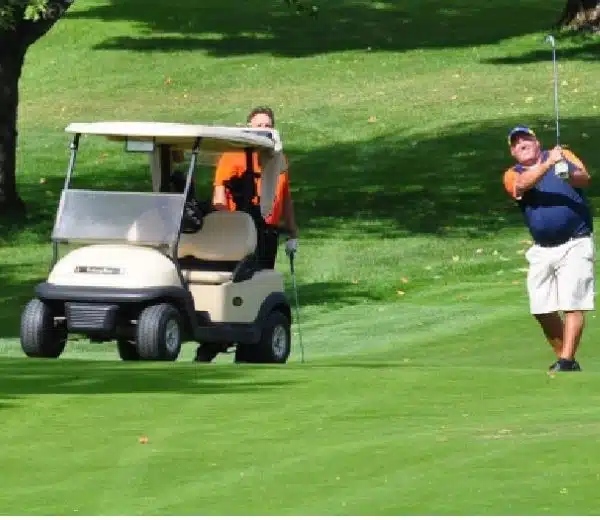 golf cart - lifepo4 battery application