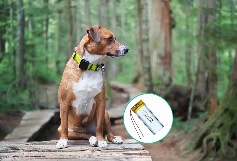 tracker lithium battery
